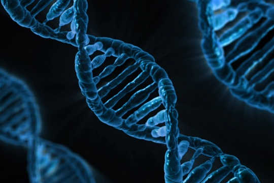 "Gifts" From Your Family of Origin: Beliefs, Attitudes, and More "Gifts" From Your Family of Origin: Beliefs, Attitudes, and More